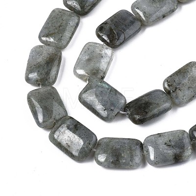 Natural Labradorite Beads Strands G-T121-13-1