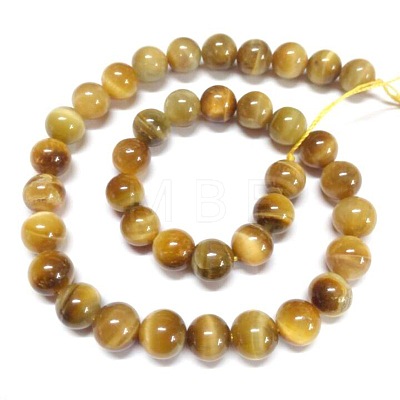 Natural Tiger Eye Beads Strands G-G544-10mm-01-1