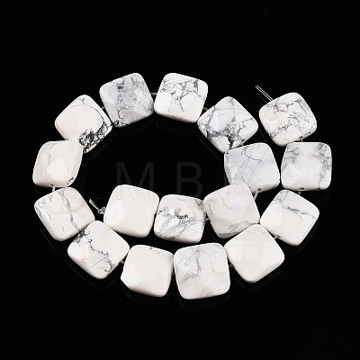 Natural Howlite Beads Strands G-T138-157-1