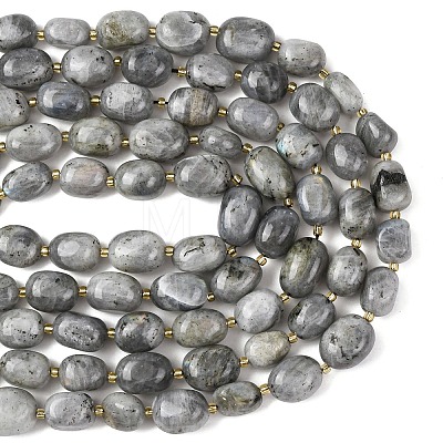 Natural Labradorite Beads Strands G-G453-D10-01-1