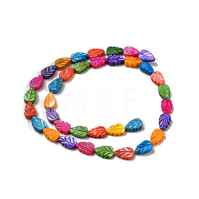 Natural Freshwater shell Beads Strands SHEL-H004-01-1