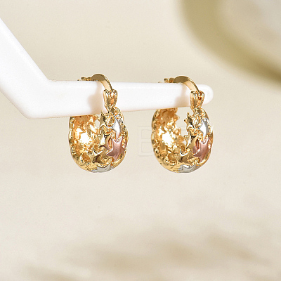 Brass Hollow Hoop Earrings NR0878-6-1