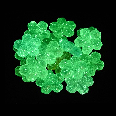 Luminous Transparent Acrylic Beads LACR-S001-15B-1