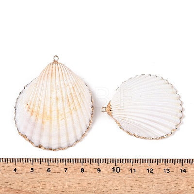 Natural Scallop Shell Big Pendants SSHEL-N038-13-1