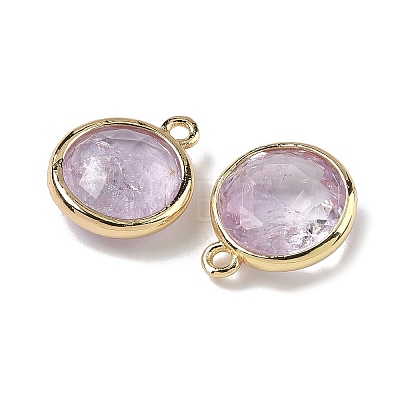 Natural Amethyst Faceted Flat Round Charms G-U028-03G-09-1