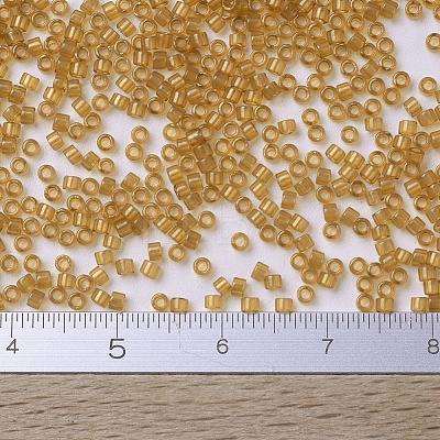 MIYUKI Delica Beads SEED-X0054-DB0119-1