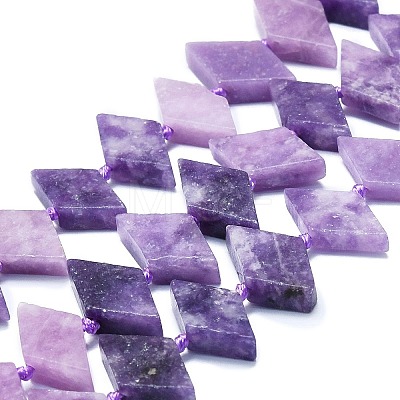 Natural Lepidolite Beads Strands G-K245-E02-01-1