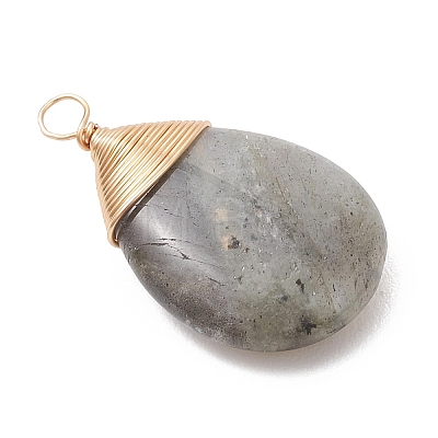 Natural Labradorite Pendants PALLOY-JF05086-02-1