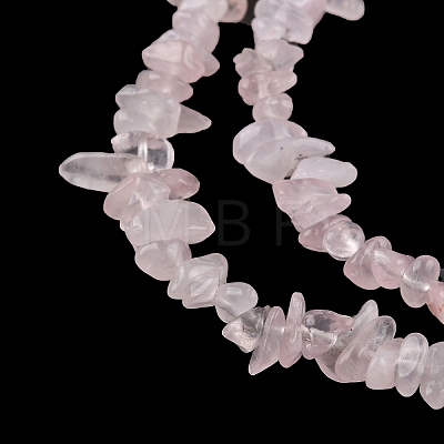 Natural Rose Quartz Beads Strands G-G0003-B35-1