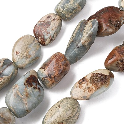 Natural Shoushan Stone Beads Strands G-D098-C05-1