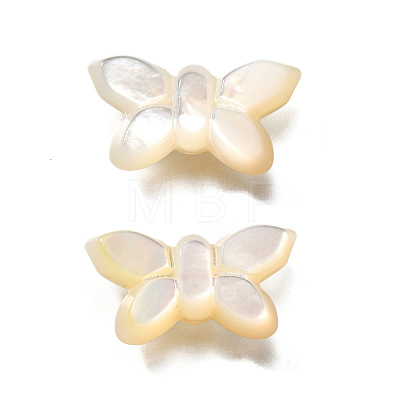 Natural White Shell Beads BSHE-Z008-02-1