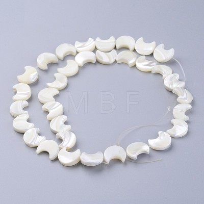 Natural White Shell Beads Strands SSHEL-12X11-1