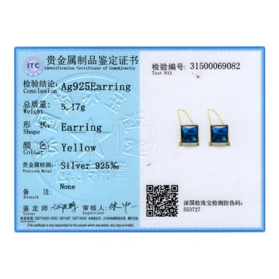 925 Sterling Silver Dangle Earrings EJEW-BB33798-1