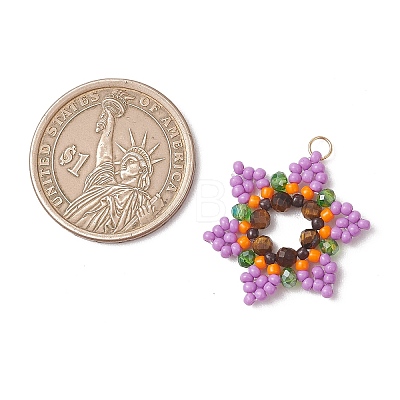 Glass Seed Beaded Pendants PALLOY-MZ01241-02-1