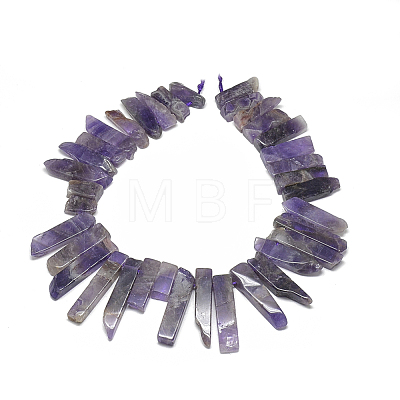 Natural Amethyst Beads Strands G-S318-03-1