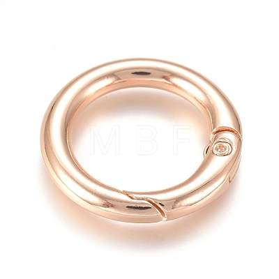 Alloy Spring Gate Ring PALLOY-WH0066-19B-1
