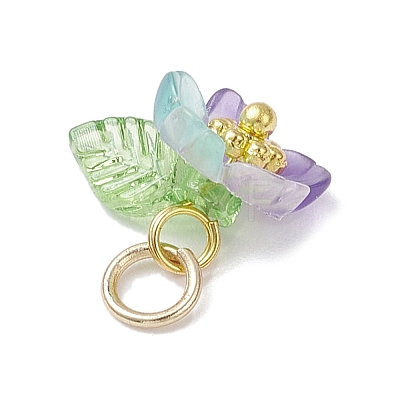 Transparent Resin & Acrylic Pendants PALLOY-JF04358-1