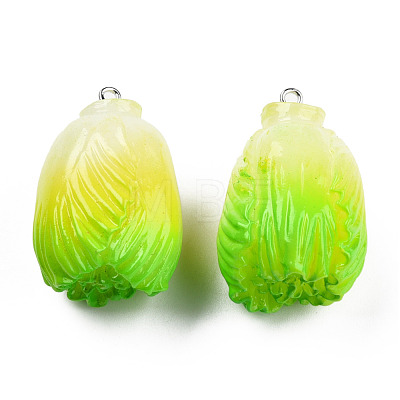 Opaque Resin Pendants RESI-N021-29-1