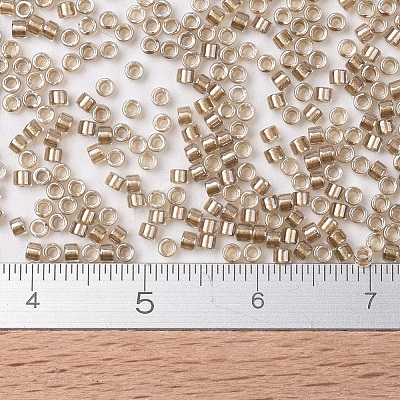 MIYUKI Delica Beads SEED-J020-DB0907-1