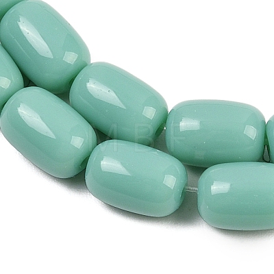 Opaque Glass Beads Strands GLAA-Z015-02B-1