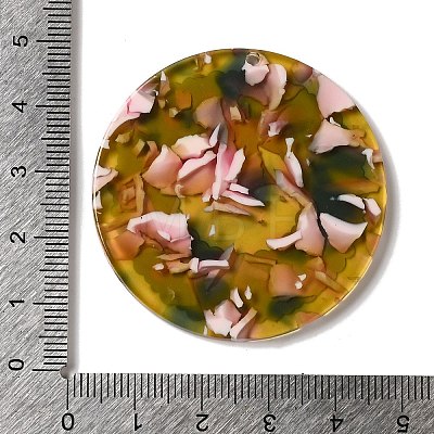 Transparent Christmas Themed Cellulose Acetate(Resin) Pendants OACR-L018-03D-1