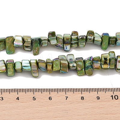 Natural Freshwater Shell Beads Strands BSHE-H018-07C-1