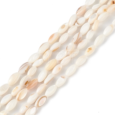 Natural Freshwater Shell Dyed Beads Strands SHEL-M018-13-13-1