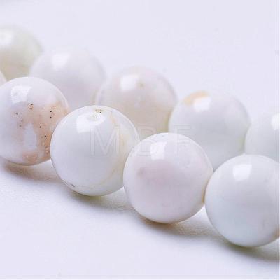 Natural Magnesite Bead Strands G-P286-10-6mm-1