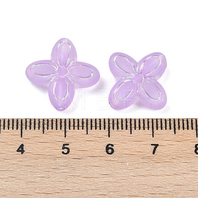 Frosted Transparent Acrylic Beads OACR-P029-09B-04-1