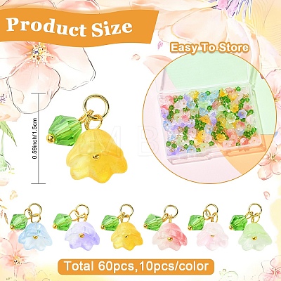 60Pcs 6 Styles Transparent Two Tone Spray Painted Glass Pendants PALLOY-YW00187-1
