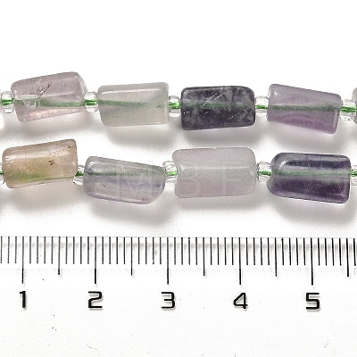 Natural Fluorite Beads Strands G-N327-06-20-1