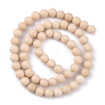 Natural Fossil Beads Strands LS-G-E110-6mm-2-1
