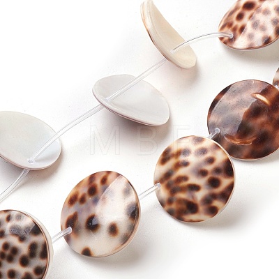 Tiger Cowrie Shell Beads Strands BSHE-L037-11-1