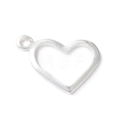 304 Stainless Steel Charms STAS-P227-23P-1