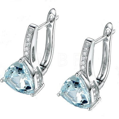 Brass & Cubic Zirconia Hoop Earrings WGC58F4-01-1