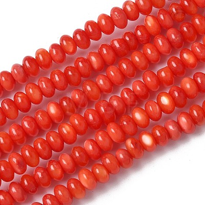 Natural Freshwater Shell Beads Strands SSHEL-C013-08A-1
