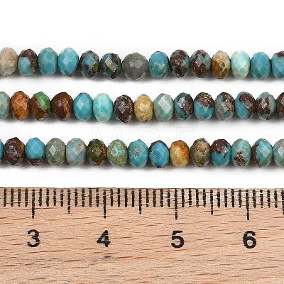 Natural Anhui Turquoise Beads Strands GG-CBA5BAE-B01-1