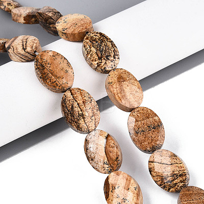 Natural Picture Jasper Beads Strands G-S354-13x18-A06-1