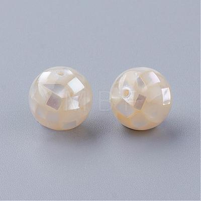 Natural White Shell Beads SSHEL-Q298-10mm-08-1