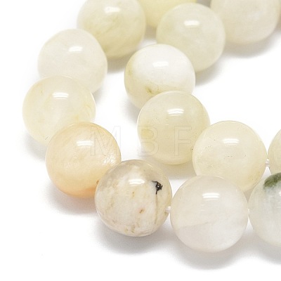 Natural Rainbow Moonstone Beads Strands G-O201A-17B-1