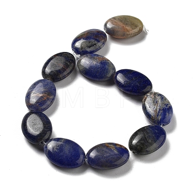 Natural Sodalite Beads Strands G-P528-M14-01-1