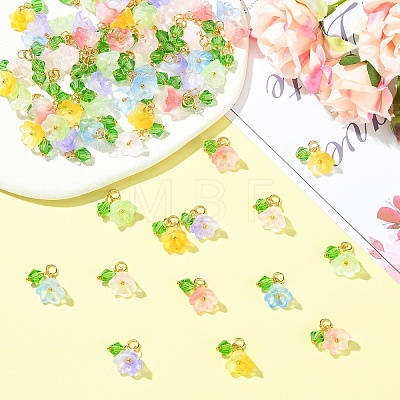 60Pcs 6 Styles Transparent Two Tone Spray Painted Glass Pendants PALLOY-YW00187-1