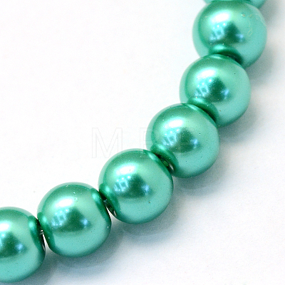 Baking Painted Pearlized Glass Pearl Round Bead Strands HY-Q003-10mm-29-1