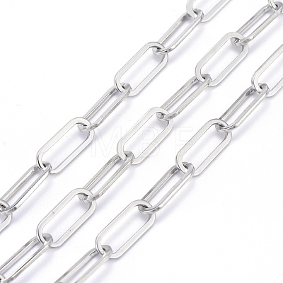 Tarnish Resistant 304 Stainless Steel Paperclip Chains CHS-F011-01A--P-1