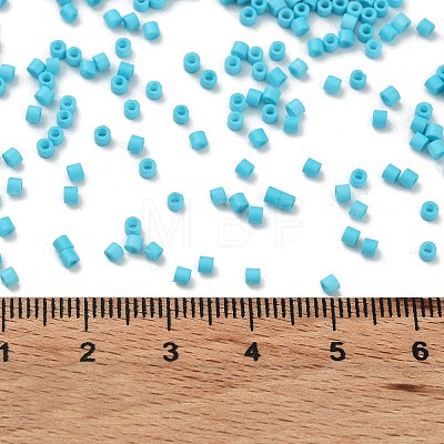 Baking Paint Glass Seed Beads X-SEED-S042-05B-58-1