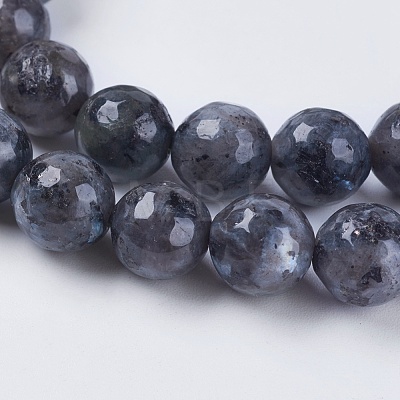 Natural Larvikite Beads Strands G-G542-8mm-27-1