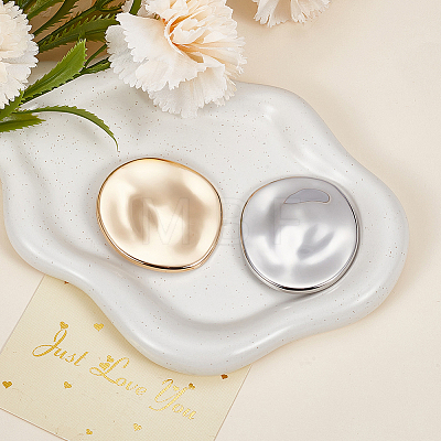 2Pcs 2 Colors Alloy Brooches JEWB-CP0001-58-1