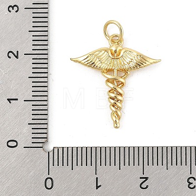 Brass Pendants KK-P300-21G-1