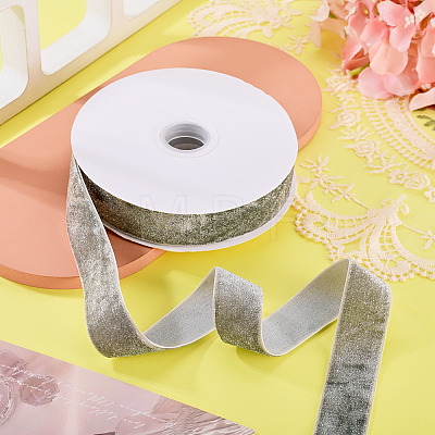 10 Yards Polyester Velvet Ribbon OCOR-TA0004-13C-1
