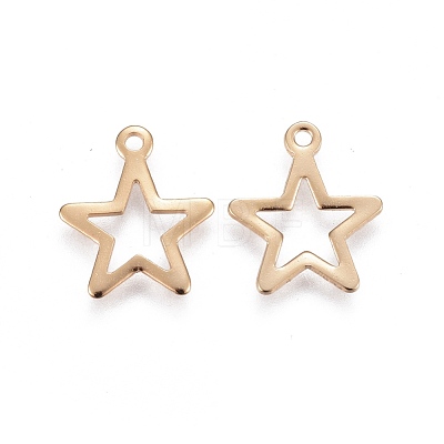 304 Stainless Steel Pendants Ion Plating(IP) STAS-F192-027G-1
